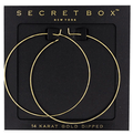 HOOPS-Select Gold and Silver Options - Cami's Little Shop